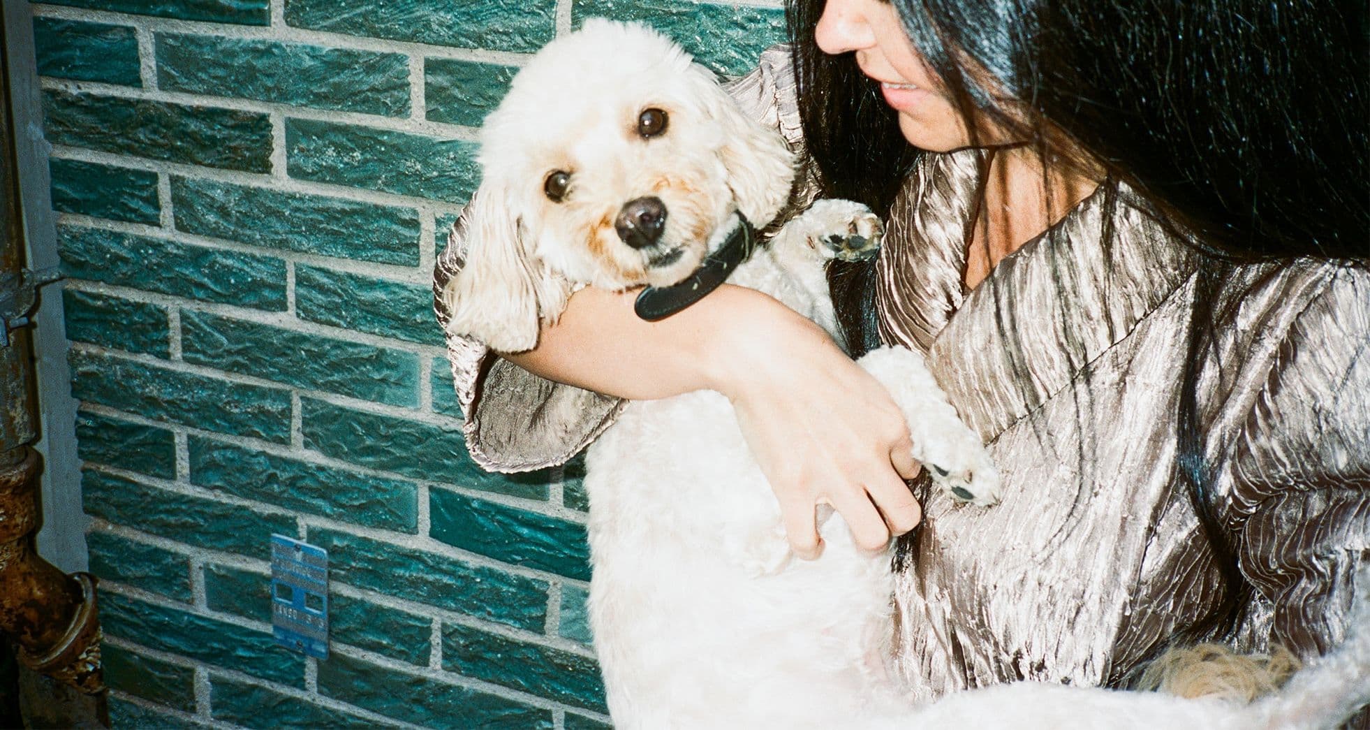 Tjej håller vit hund i famnen och ler